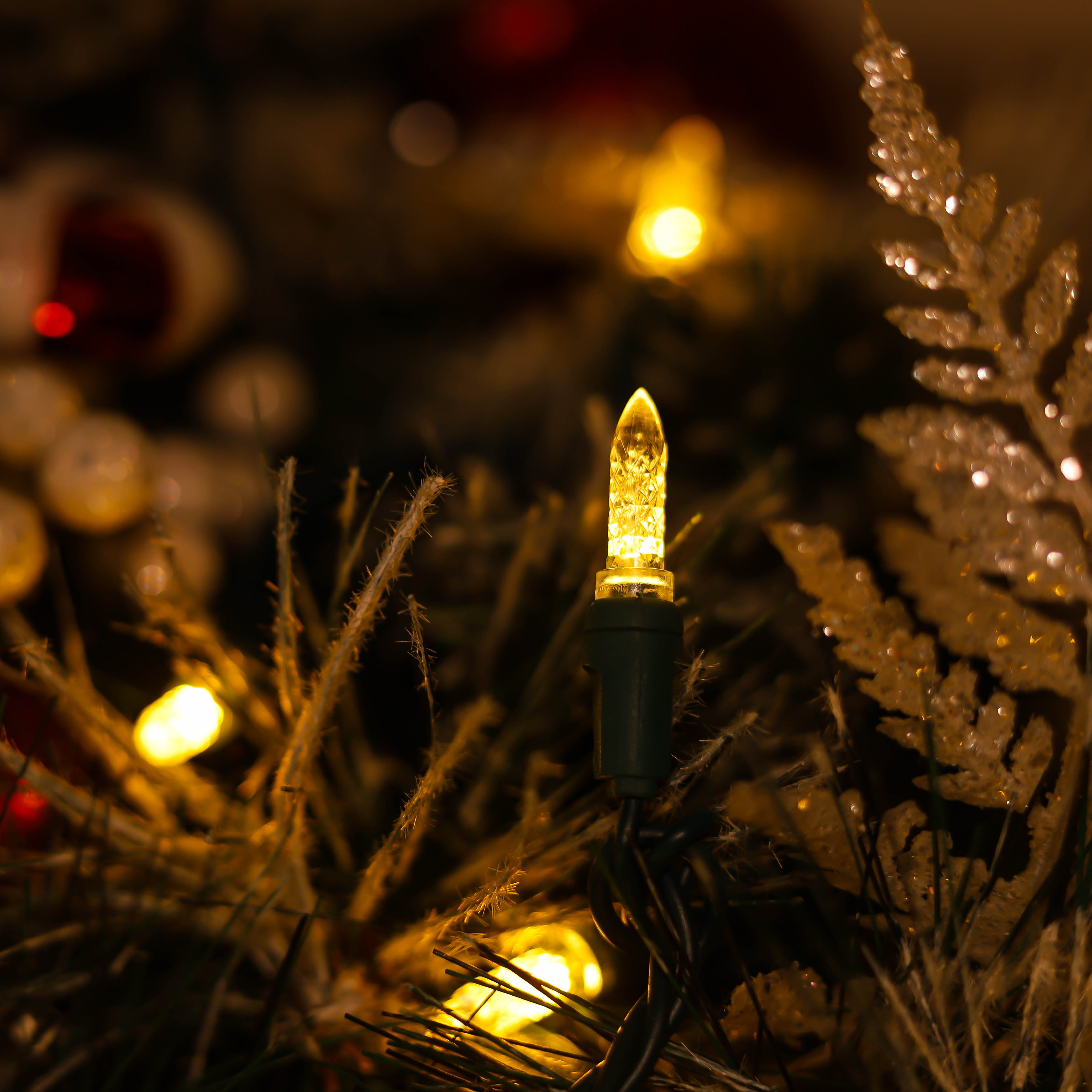 Warmweiße UL-zertifizierte M5-LED-Weihnachtsbeleuchtung