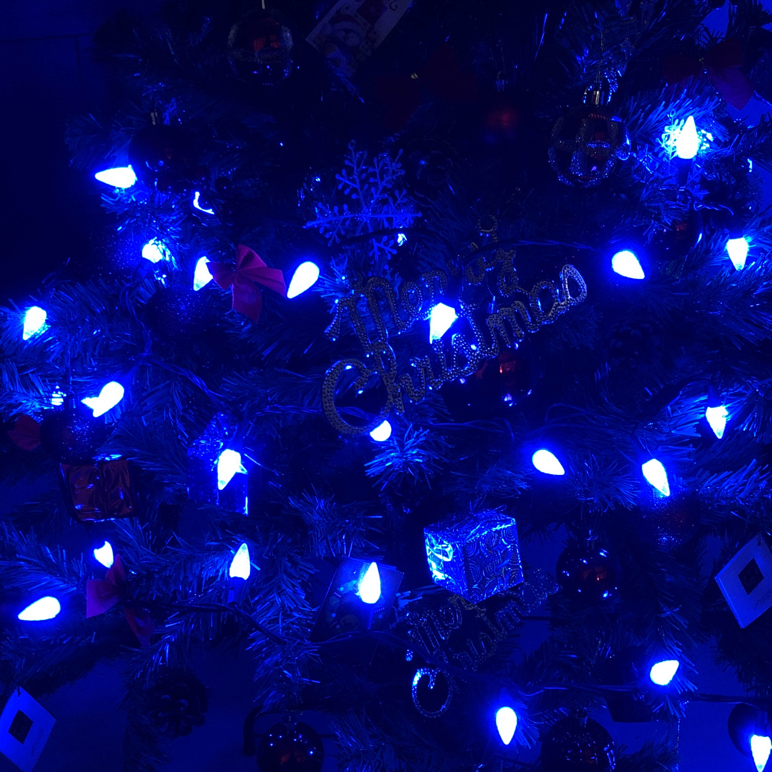 UL C6 Blue Strawberry Weihnachtslichter