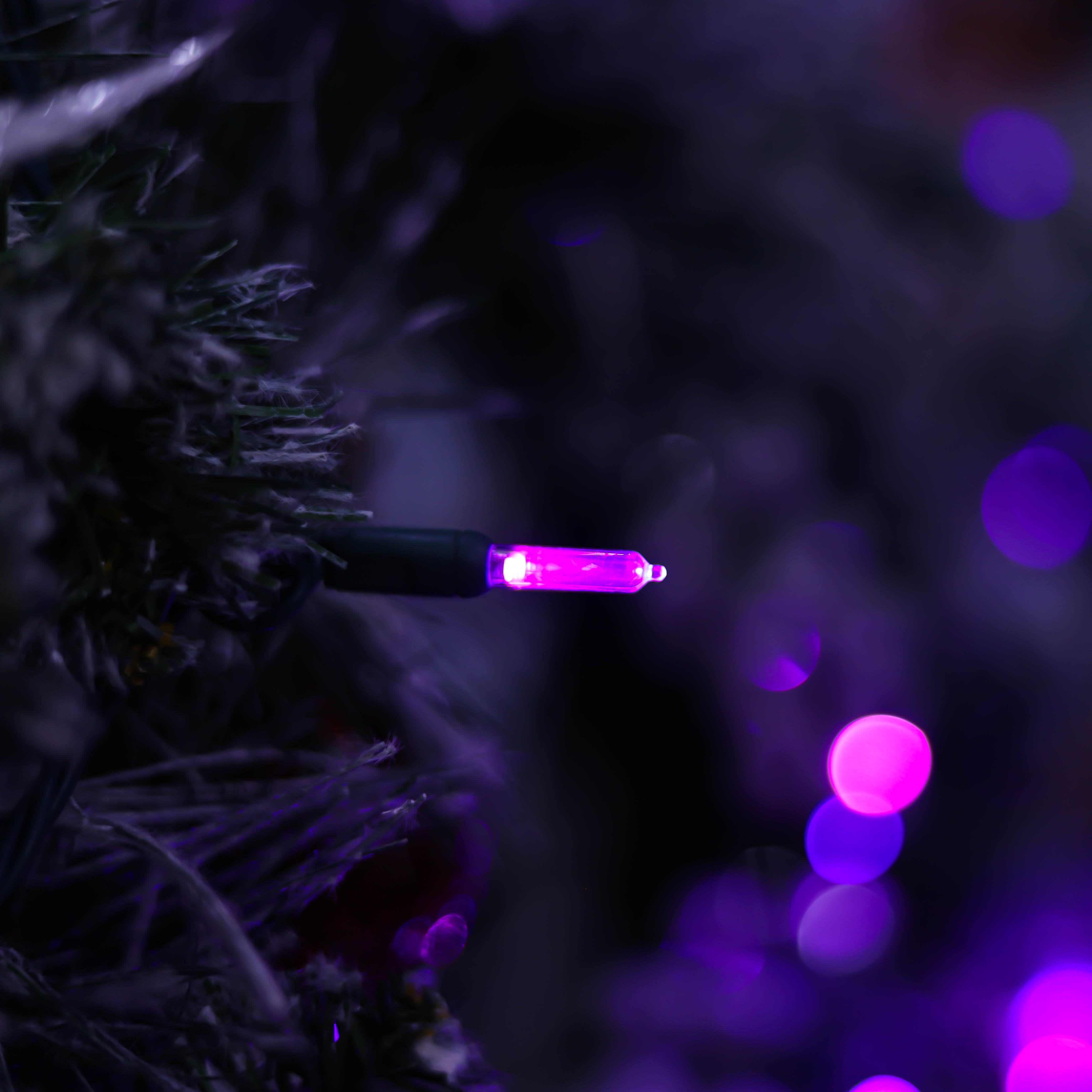 UL T5 LED-Lichterkette, violettes Weihnachtslicht, Halloween-Licht