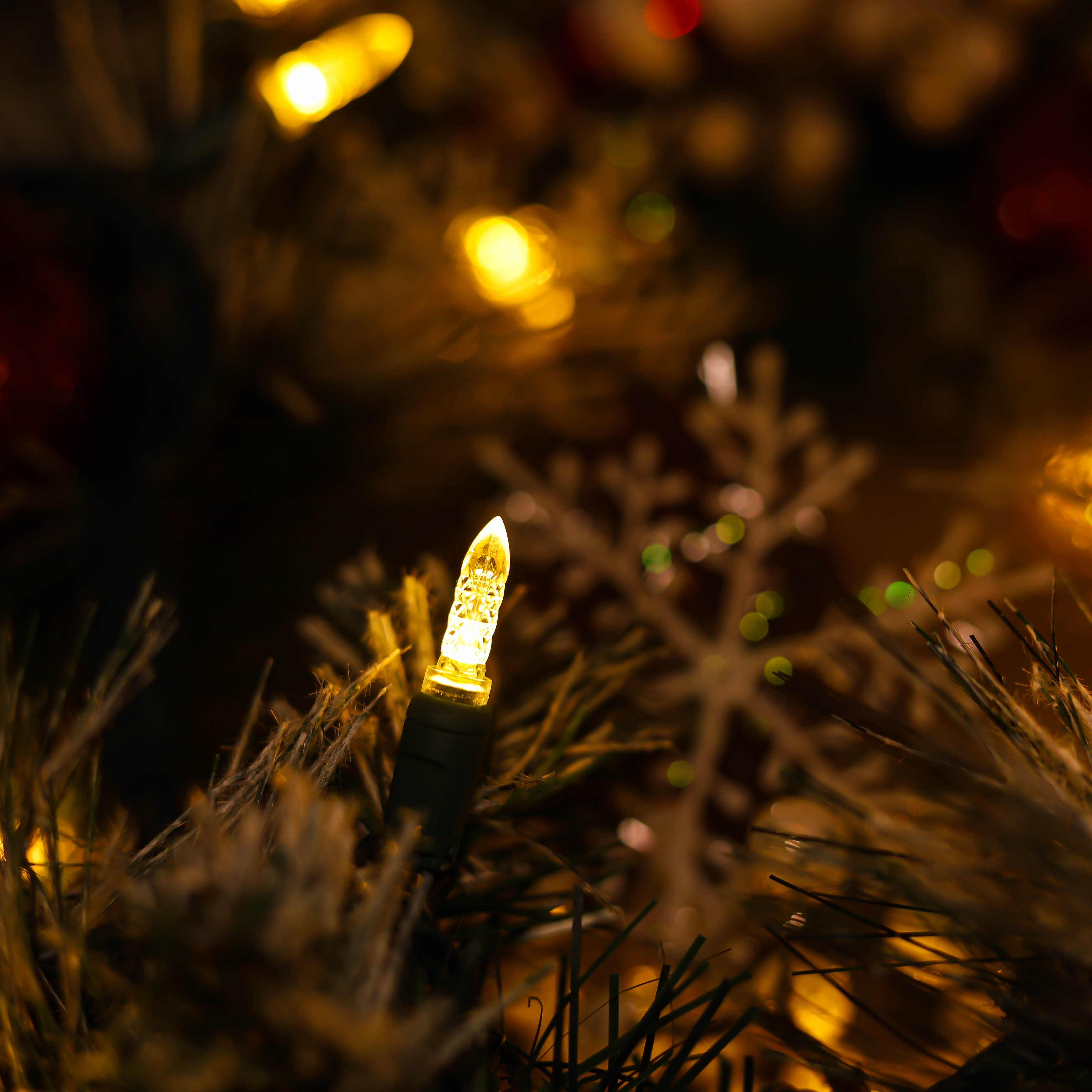 Warmweiße UL-zertifizierte M5-LED-Weihnachtsbeleuchtung