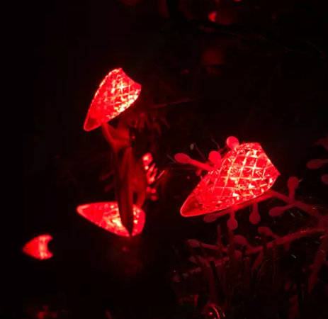 Solar vs. Plug-in-Lichterketten: Welche ist die richtige für Sie?